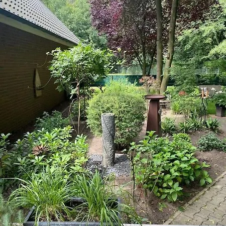 Hirschblick * Gronau (Westfalen)