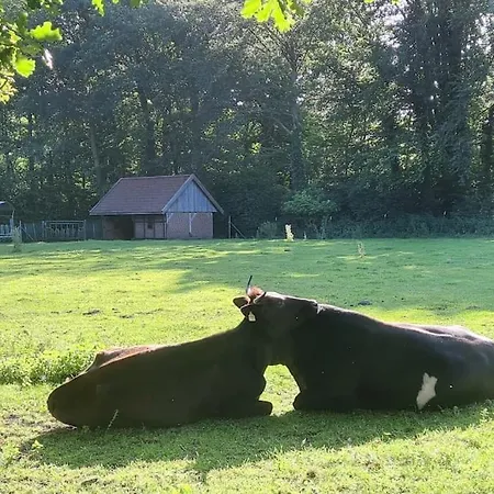 Lejlighed Hirschblick Gronau (Westfalen)