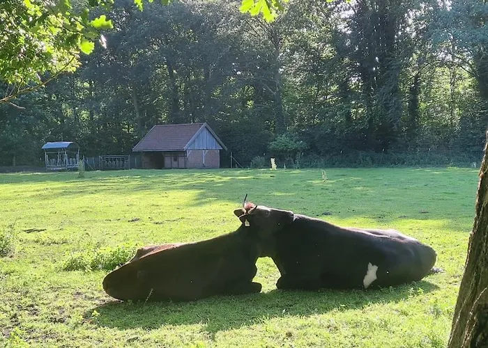 Appartamento Hirschblick Gronau (Westfalen)